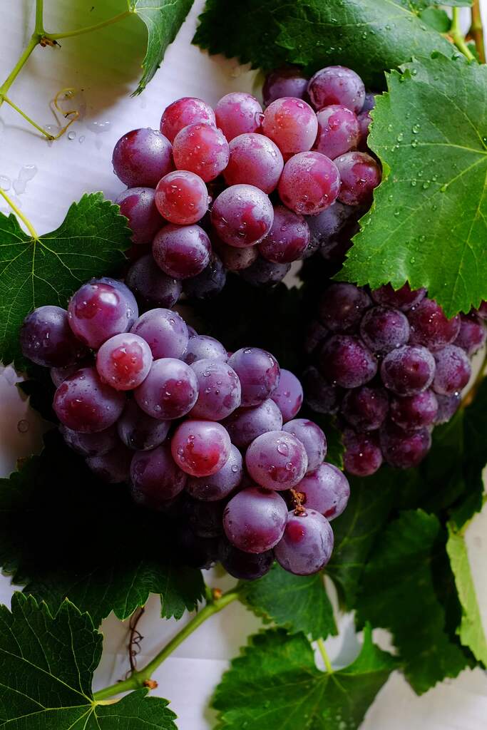 QSM Grapes Red Bucket