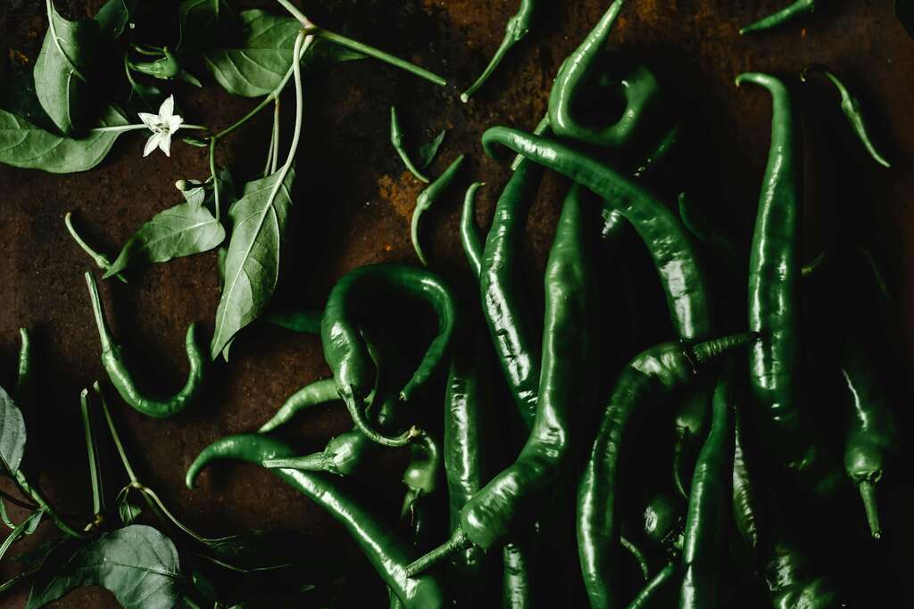 QSM Pepper Green Foam